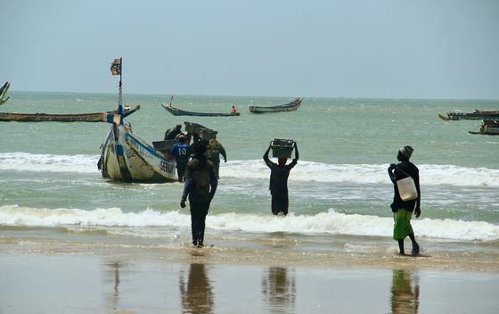 Senegal - 60