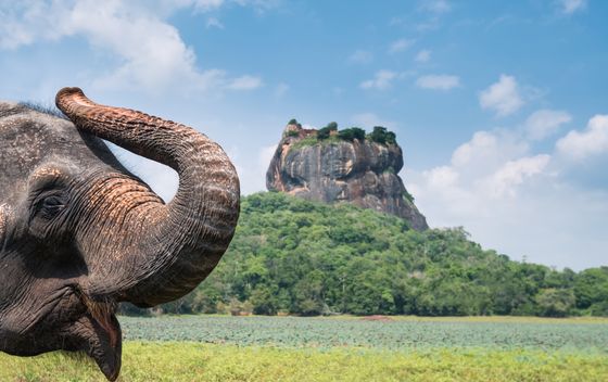 Sigiriya - 4