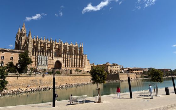 Palma - 4