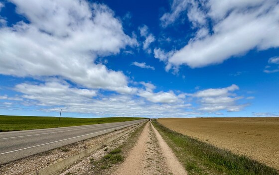 Camino - 35