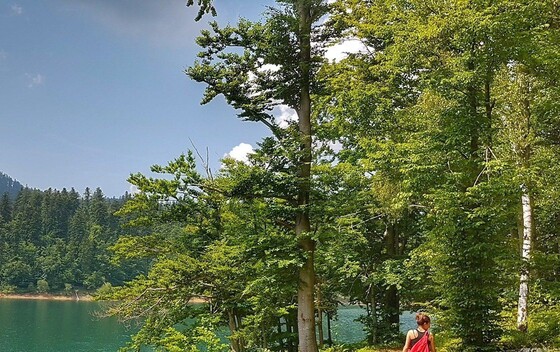 Lokve na tanjuru - 12