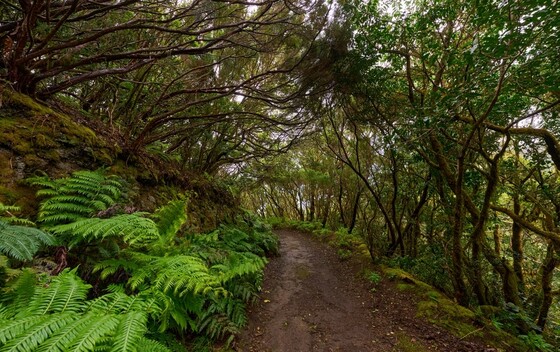 Darien Gap - 4