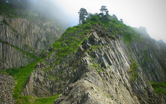 Smeđi medvjedi na otoku Kunashir - 1