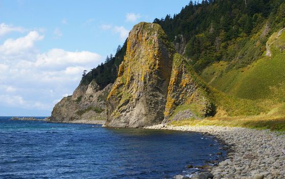 Smeđi medvjedi na otoku Kunashir - 2