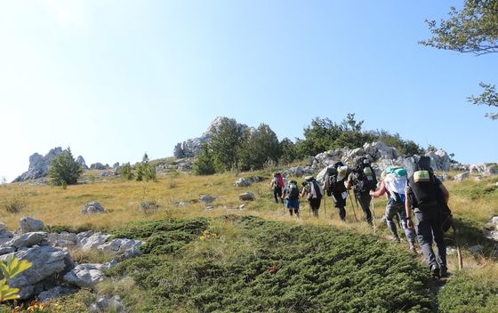 HIGHLANDER Velebit