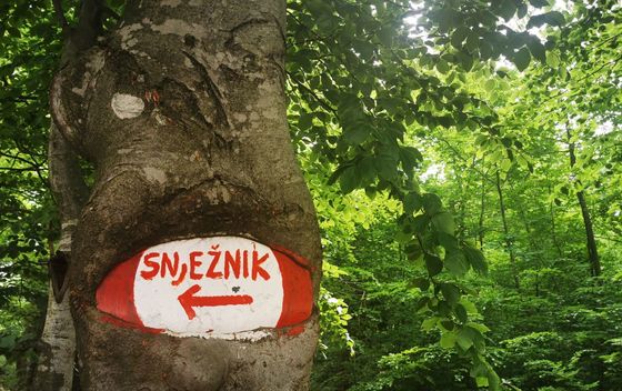 Snježnik i PD Moša Albahari - 1