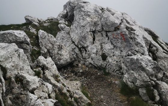 Snježnik i PD Moša Albahari - 3