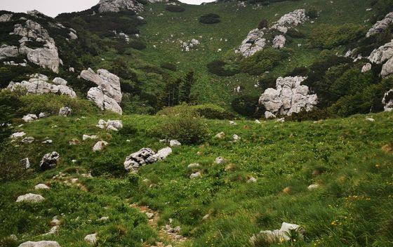 Snježnik i PD Moša Albahari - 9