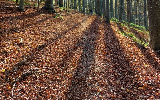 Highlander Medvednica - 17