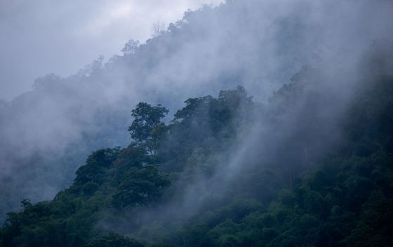 Kviz općeg znanja - 11