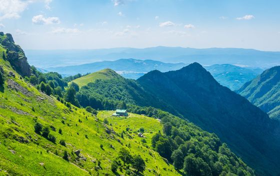 Kviz općeg znanja - 6