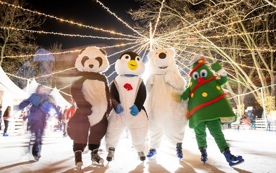 Advent u Samoboru - 2