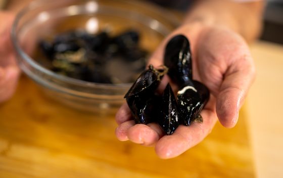 Kako očistiti školjke? - 1