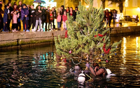 Potapanje bora - Advent na Lošinju