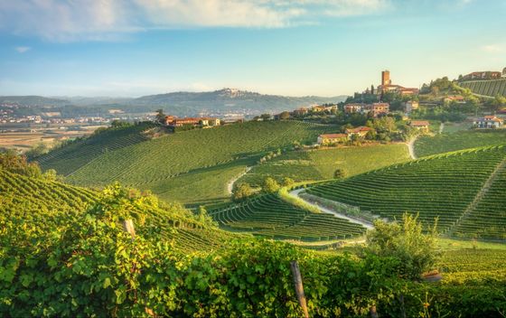 Pijemont je poznata vinorodna regija u Italiji
