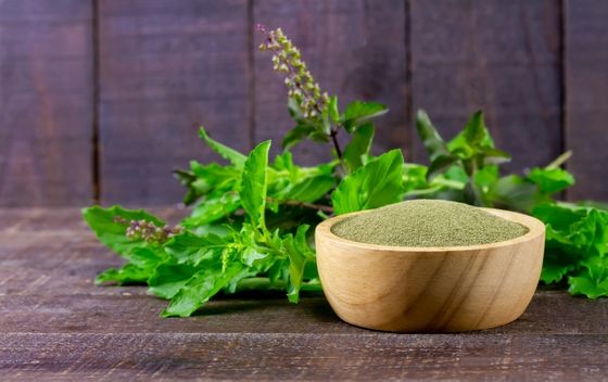 Tulsi - 4