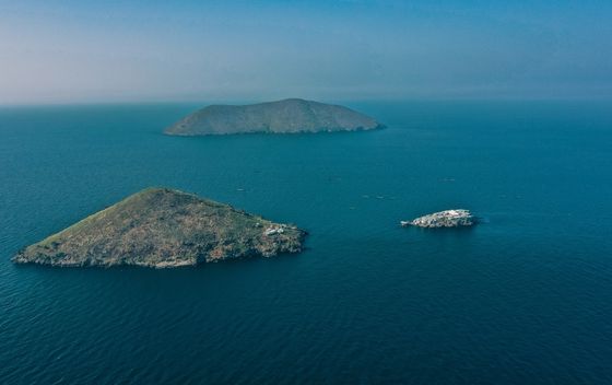 Migingo