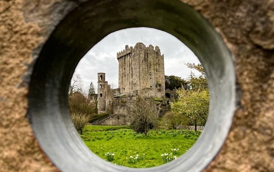 Blarney - 8