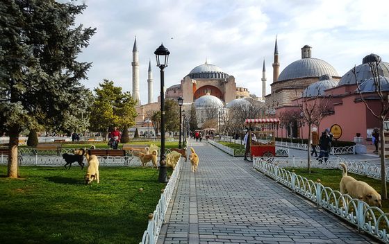Valentina u Istanbulu - 43