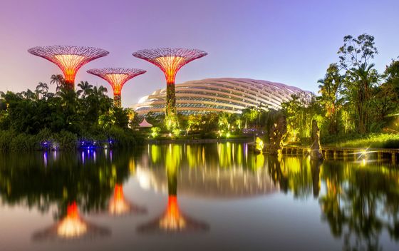 Singapur - 8