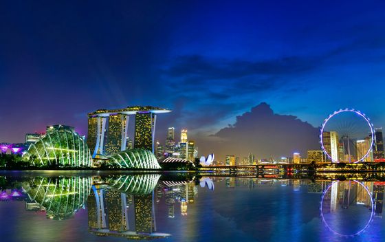 Flower Dome, Singapore - 5