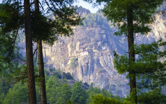 Tigrovo gnijezdo, Butan - 1