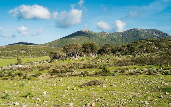 Baunei, Sardinija - 2