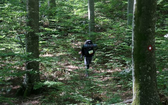 Highlander Velebit - 25
