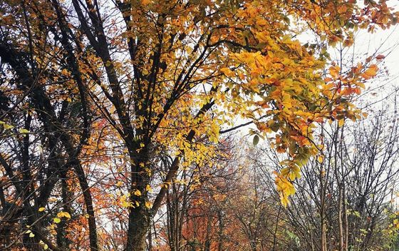 Kameni svati, Medvednica - 5