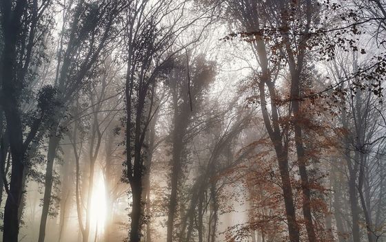 Kameni svati, Medvednica - 6