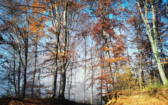 Kameni svati, Medvednica - 9