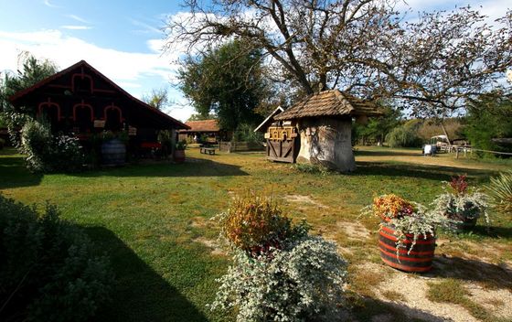 Drava i okolica - 18