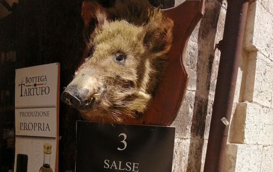 Putovanje Umbrijom - 22