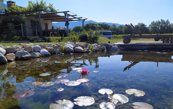 Vineyard Eco Cottage Gruda - 30