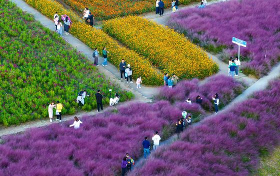 Šumski park Santaishan, Suqian, Kina - 4