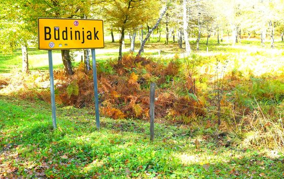 Budinjak - 22