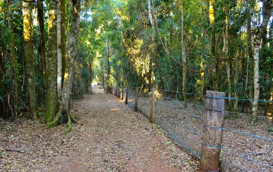 Najdulja ograda na svijetu - 2