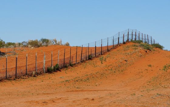 Najdulja ograda na svijetu - 4