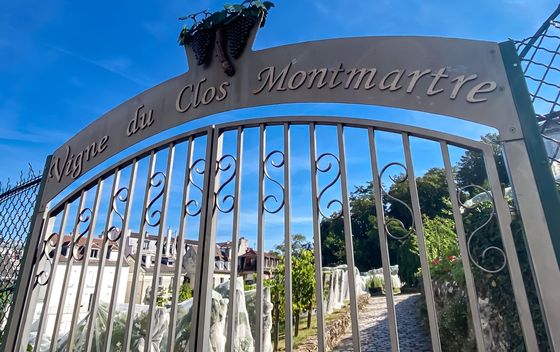 Clos Montmartre - 2