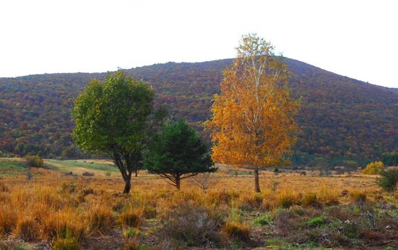 Kosinjska dolina - 9