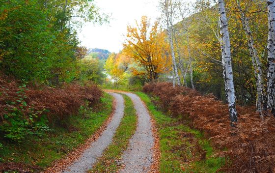 Kosinjska dolina - 10