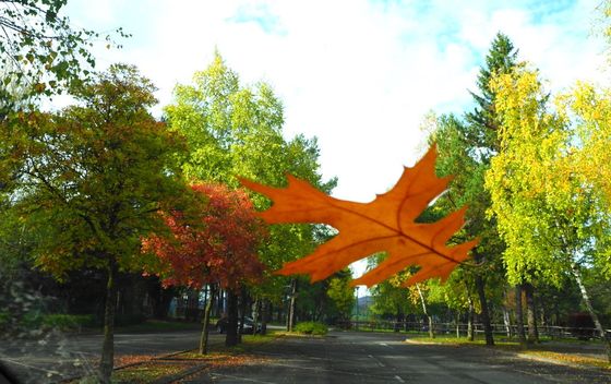 Kosinjska dolina - 11