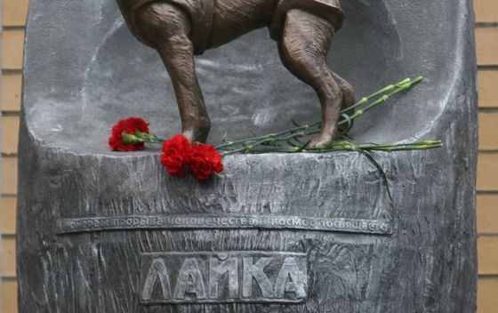Lajka je bila prvi pas u svemiru - 2