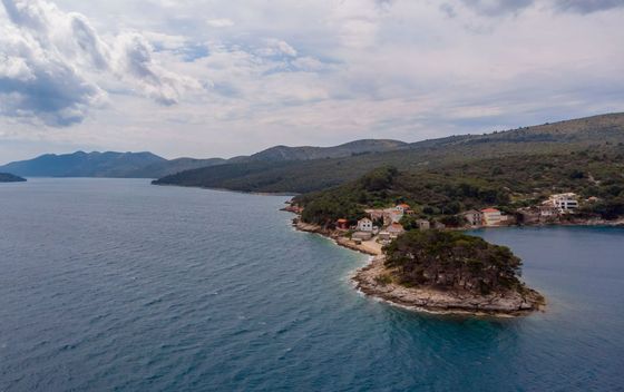 Novi kviz općeg znanja - 15