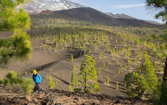 Martina Divić: Tamo gdje duga dobiva boju - 1