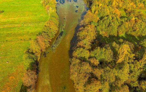 Vrelo Bosne - 12
