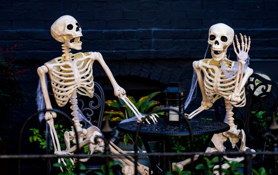 Novi kviz općeg znanja - 11