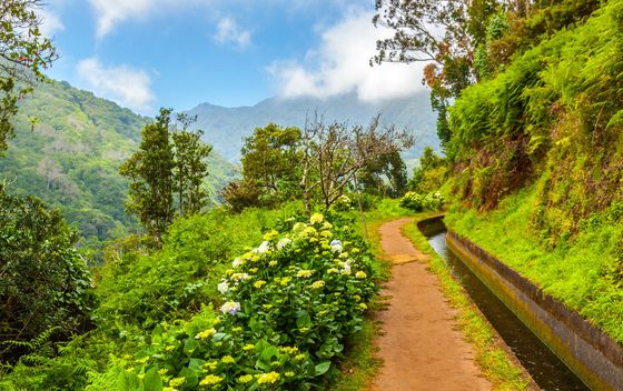 Madeira - 3