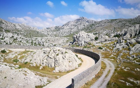 Majstorska cesta - 4