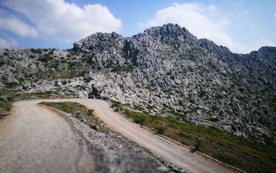 Majstorska cesta - 6